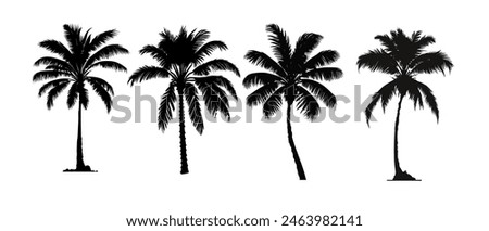 set of black silhouettes of a palm tree, silhouette of a palm tree isolated	