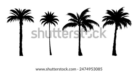 set of black silhouettes of a palm tree, silhouette of a palm tree isolated