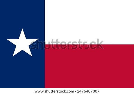 texas, texas flag -vector illustration