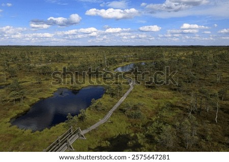 Image, Stock Photo Wooden path leading through the swamp and forest in a natural park