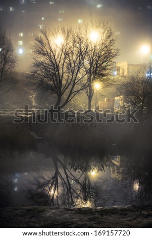 tree near the lake in night fog