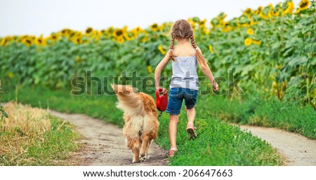 little girl walks on the leash with a golden retriever, go away