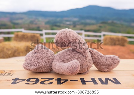Bear doll sleeping on wooden table against mountain background. Vintage color.