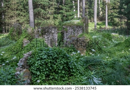 Similar – Image, Stock Photo Ruined and weathered house facade Ruin