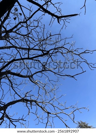 Similar – Image, Stock Photo Climate change | bare patches in the Harz Mountains