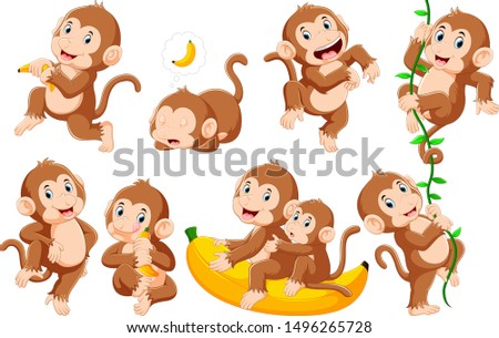 Collection of monkey in different poses	