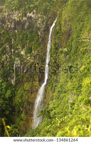 Tall waterfall in rainforest wilderness