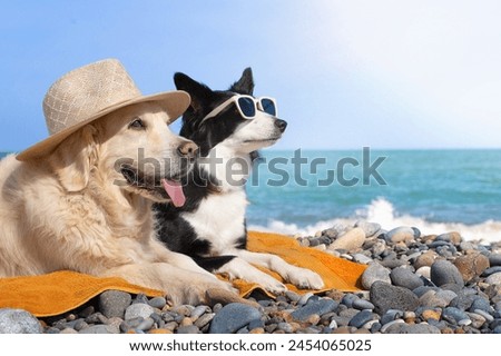 Similar – Image, Stock Photo relaxed with the dog from the walk back again