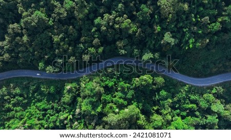 Similar – Image, Stock Photo Winding asphalt road through forest