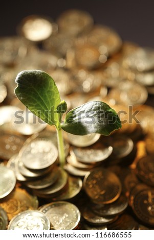 Little plant growing out of pile of coins