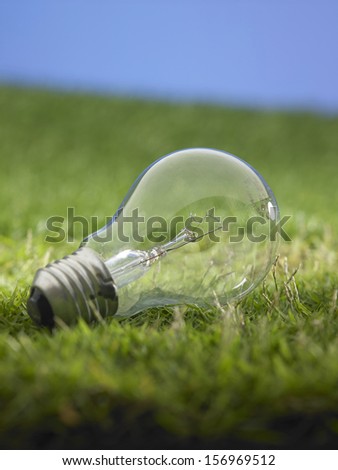 light bulb on the grass