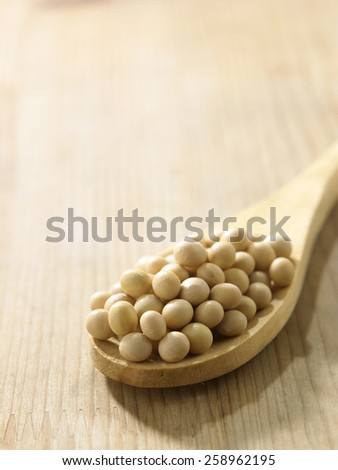 spoon full of the soy beans