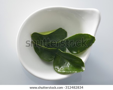 bergamot kaffir lime leaves herb fresh ingredient food asian thailand tom yam