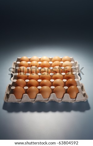 group of the eggs at the egg tray