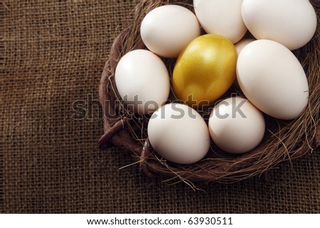 nest of egg with one golden egg