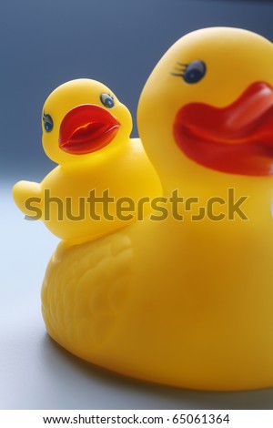 Rubber yellow duck isolated on coloured background.
