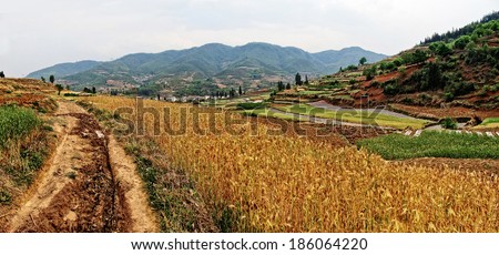 Dirt road leading past a farm house in rural China