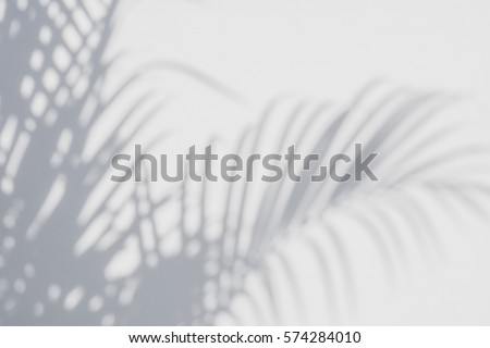 Similar – Image, Stock Photo Dense dark green leaves in garden at night. Green leaf texture. Ornamental plant. Green leaves in forest. Botanical garden. Greenery wallpaper for spa or mental health. Nature abstract background.