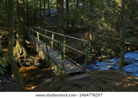 Similar – Foto Bild Steg sachsen anhalt