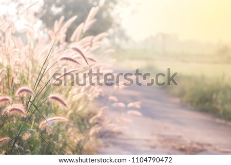 Similar – Image, Stock Photo Sweet autumn Environment