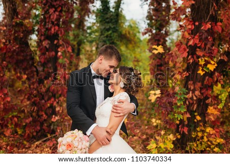 Similar – Image, Stock Photo autumn wedding Bride