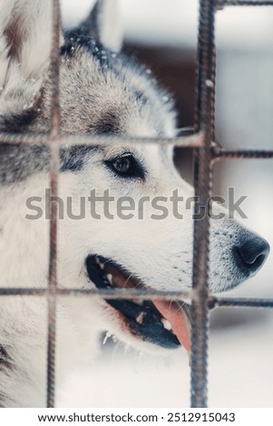 Similar – Foto Bild hinter Gittern Winter Eis