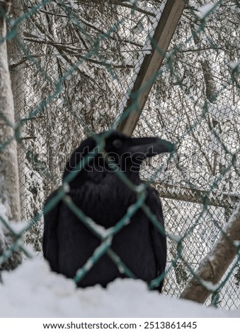 Similar – Foto Bild hinter Gittern Winter Eis