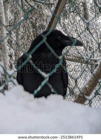 Similar – Foto Bild hinter Gittern Winter Eis