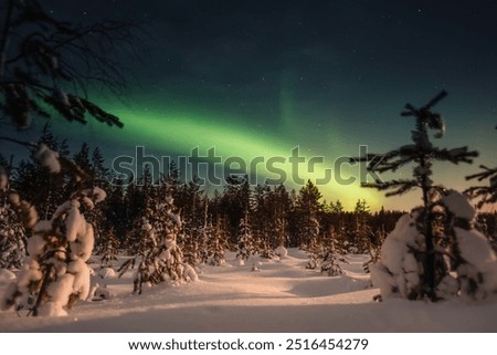 Foto Bild Szenische Nordlichter bei Nacht in bergigem Terrain