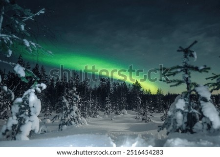 Similar – Foto Bild Szenische Nordlichter bei Nacht in bergigem Terrain