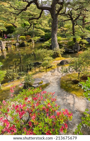 KYOTO, JAPAN - APRIL 26th  : Pink azaleas,  pond and pine trees in the Japanese garden of Ginkakuji Temple, Kyoto, Japan on 26th April 2014.