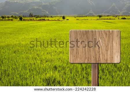 Blank wooden sign on field of paddy rice farm. Concept of rural, idyllic, tranquility etc.