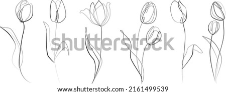 Tulip flowers vector line art big set. Abstract floral hand drawing outline tulips isolated on white background. Set of tulips one line art black and white. Tulip graphic sketch illustration pattern
