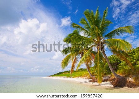 Summer at a tropical paradise in Florida Keys, USA with palm trees, blue sky, clouds and crystal clear water of Atlantic Ocean