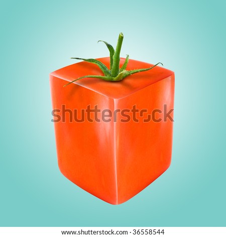 Different tomato concept photo montage isolated with clipping path. Suggested background