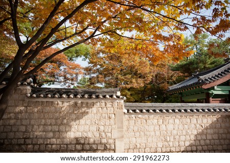 changdeokgung,korean royal palace,world cultural heritage