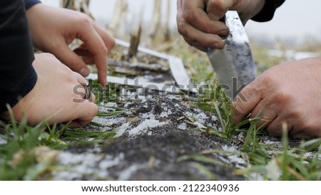 Similar – Image, Stock Photo Field with winter sowing