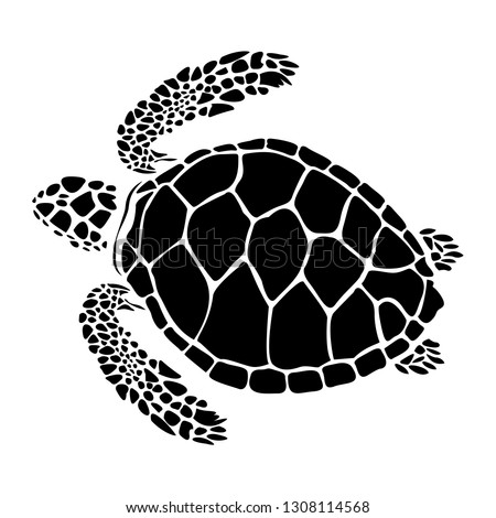 Turtle Clipart Black And White | Free download on ClipArtMag