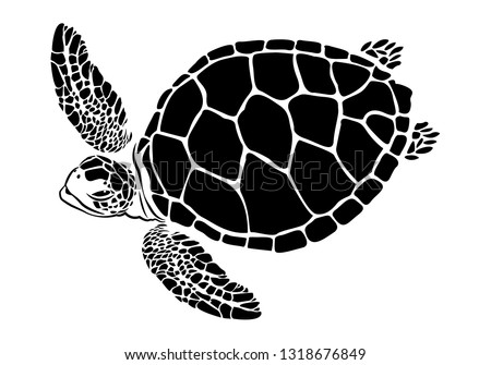 Turtle Clipart Black And White | Free download on ClipArtMag