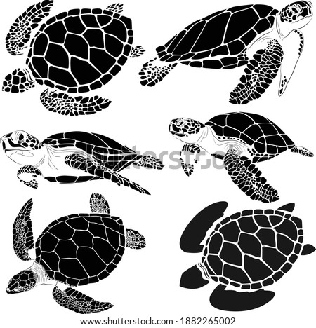 Turtle Silhouette Clipart | Free download on ClipArtMag