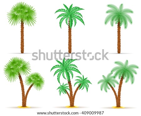 Palm Tree Vector Illustration Isolated On White Background - 409009987