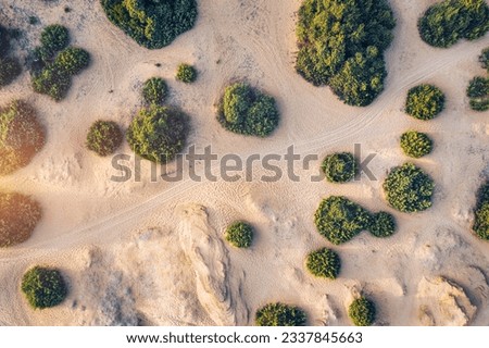 Similar – Image, Stock Photo Green Island Desert dunes