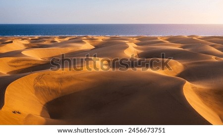 Similar – Foto Bild Maspalomas schön