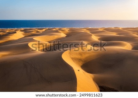 Foto Bild Maspalomas schön