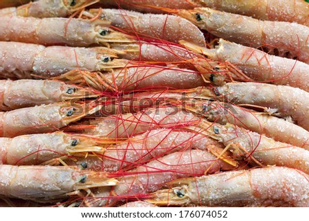 Boiled frozen shrimp arranged in neat rows.