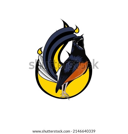 Murai batu illustration vector graphics. Open the beak. suitable for bird logo design.