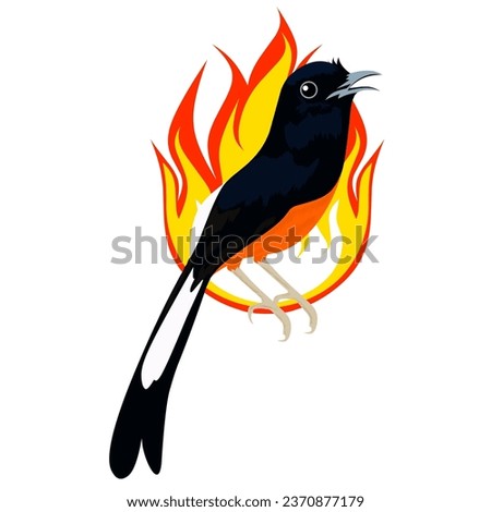 Murai batu illustration vector graphics. Open the beak. suitable for bird logo design. with fire. 