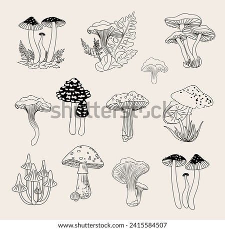 Set of Forest mushrooms hand drawn line art vector