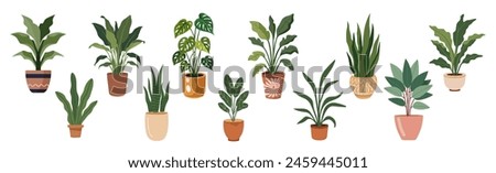 Set of different house plants in colorful hand made ceramic pots. Collection of indoor plants. Decorative natural elements for home decor. Vector illustrations isolated on white background.