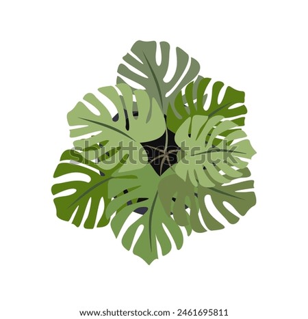 Monstera Deliciosa house plant top view. Potted flower colorful icon for landscape, architectural, interior design. Hand drawn Vector flat colorful illustration isolated on white background. Not AI